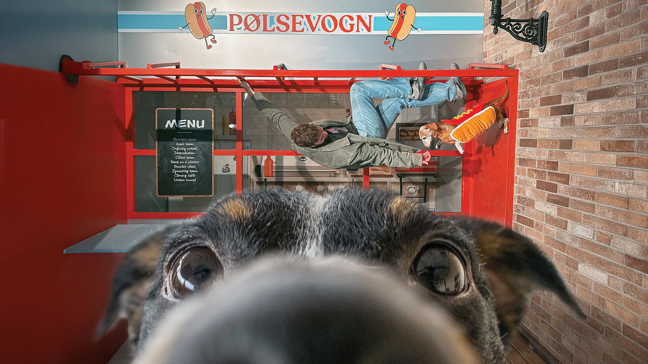 dog day at museum of illusions copenhagen